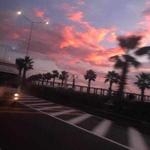 无码人妻精品一区二区蜜桃网站
